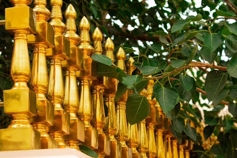 Bodhi Tree
