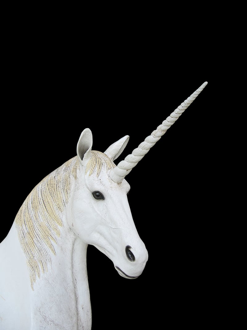 Wizard Hat
