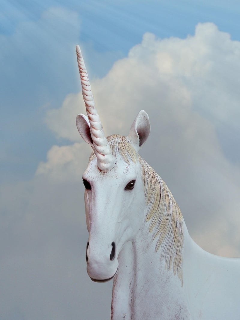 Unicorn Meadows